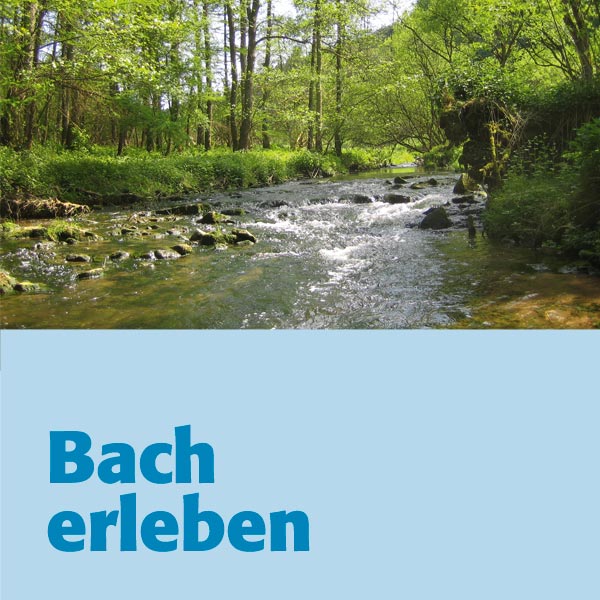 Bach erleben