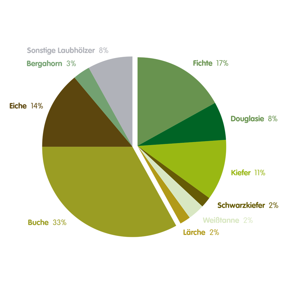 Baumarten in Prozent