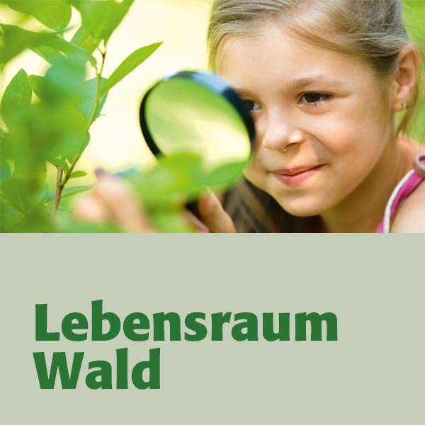 Lebensraum Wald