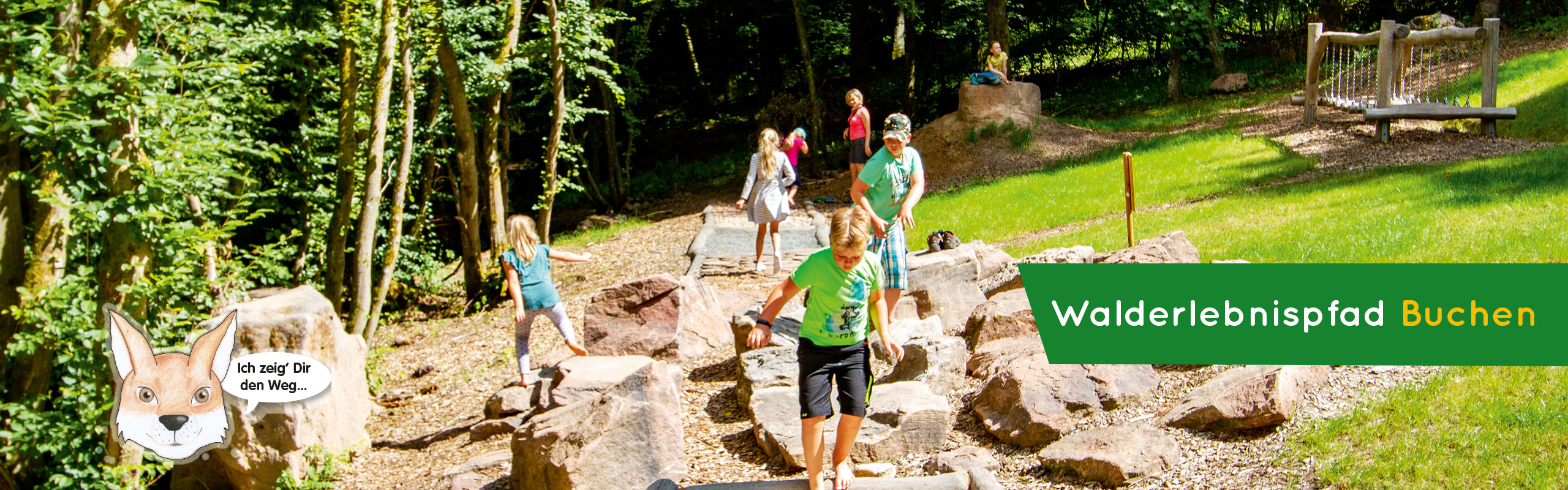 Walderlebnispfad Buchen