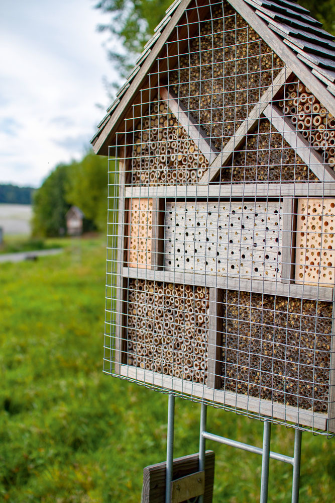 Blütenweg Götzingen