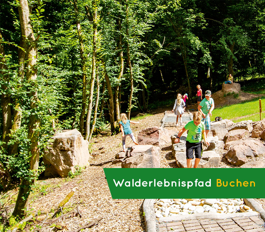 Walderlebnispfad Buchen