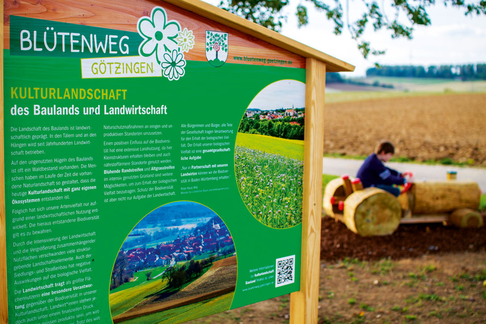 Blütenweg Götzingen