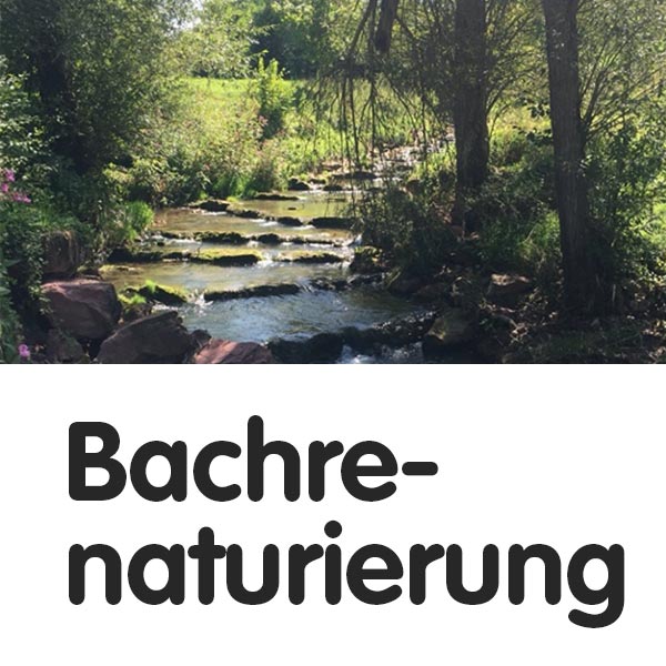 Die Bachrenaturierung