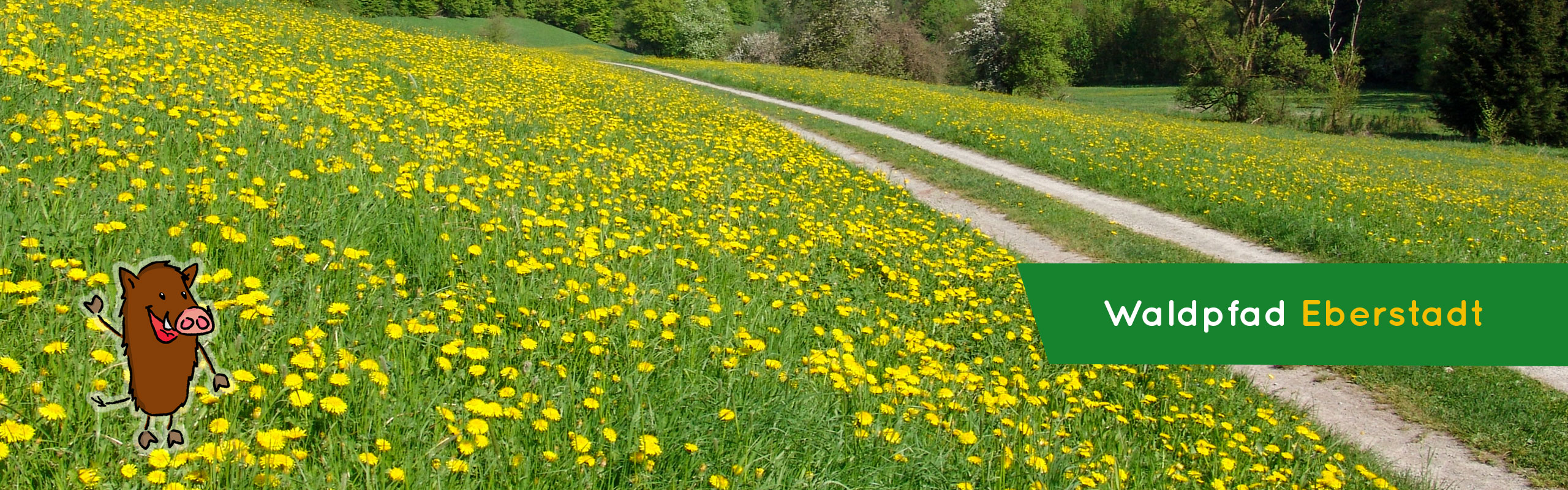 Waldpfad Eberstadt