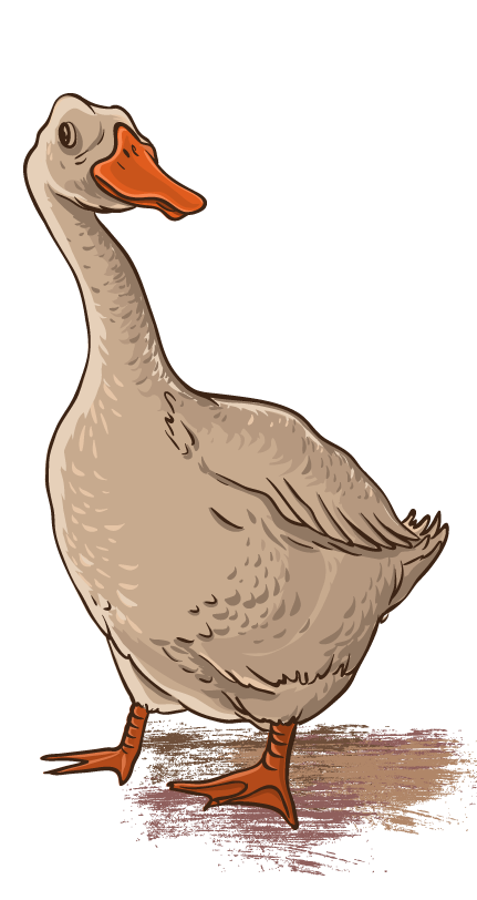 Die Gans vom Hohlen Stein