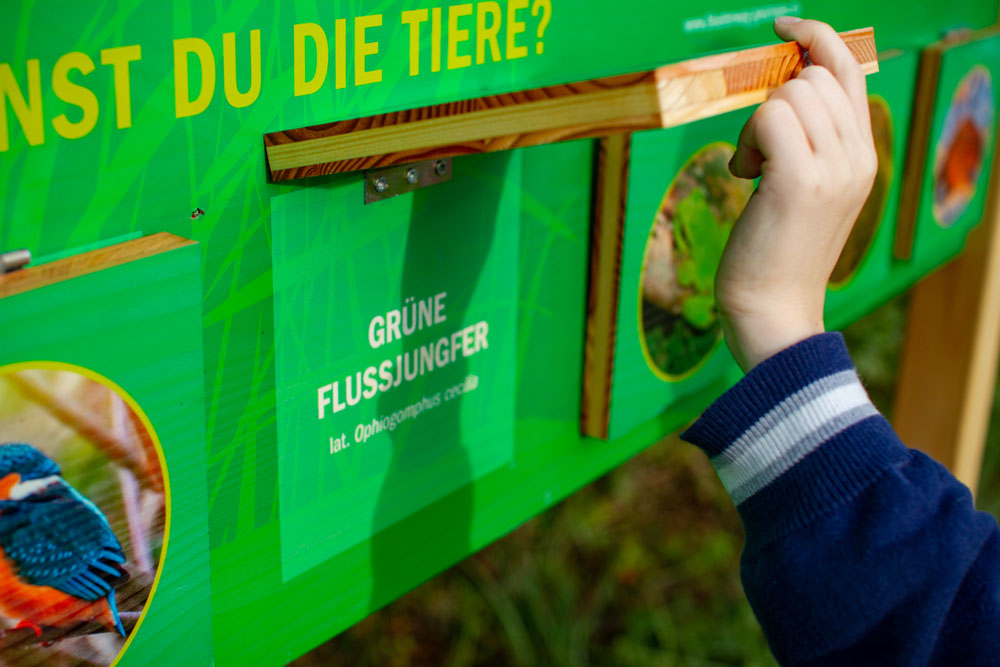 Blütenweg Götzingen