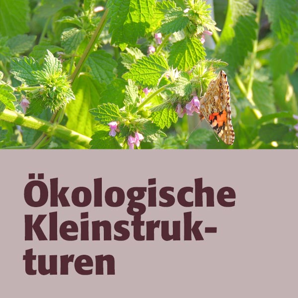 Ökologische Kleinstrukturen