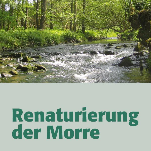 Renaturierung der Morre