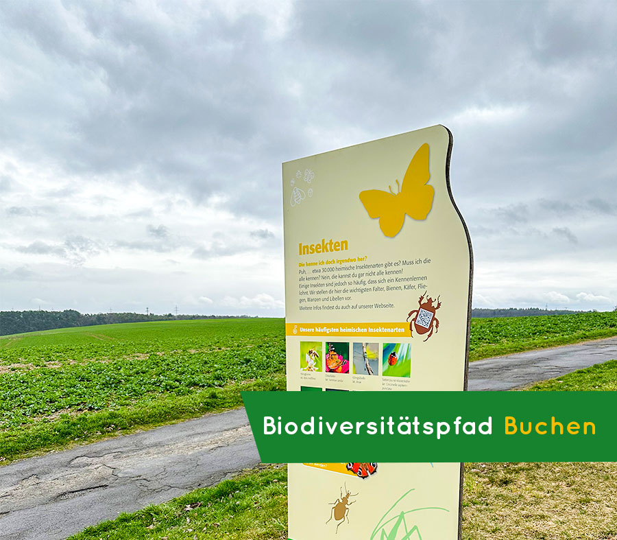Biodiversitätspfad Buchen