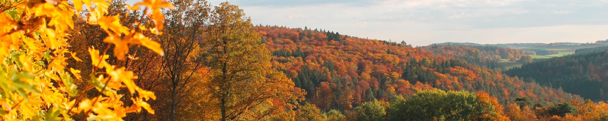 Emotion-Header default