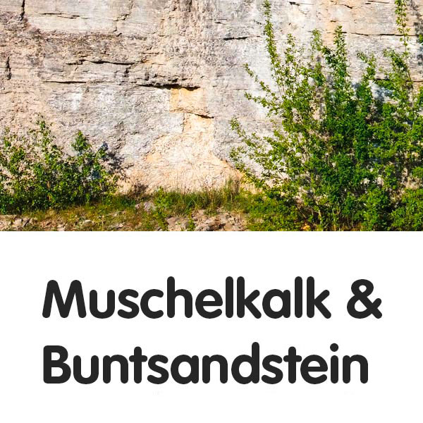 Muschelkalkwand