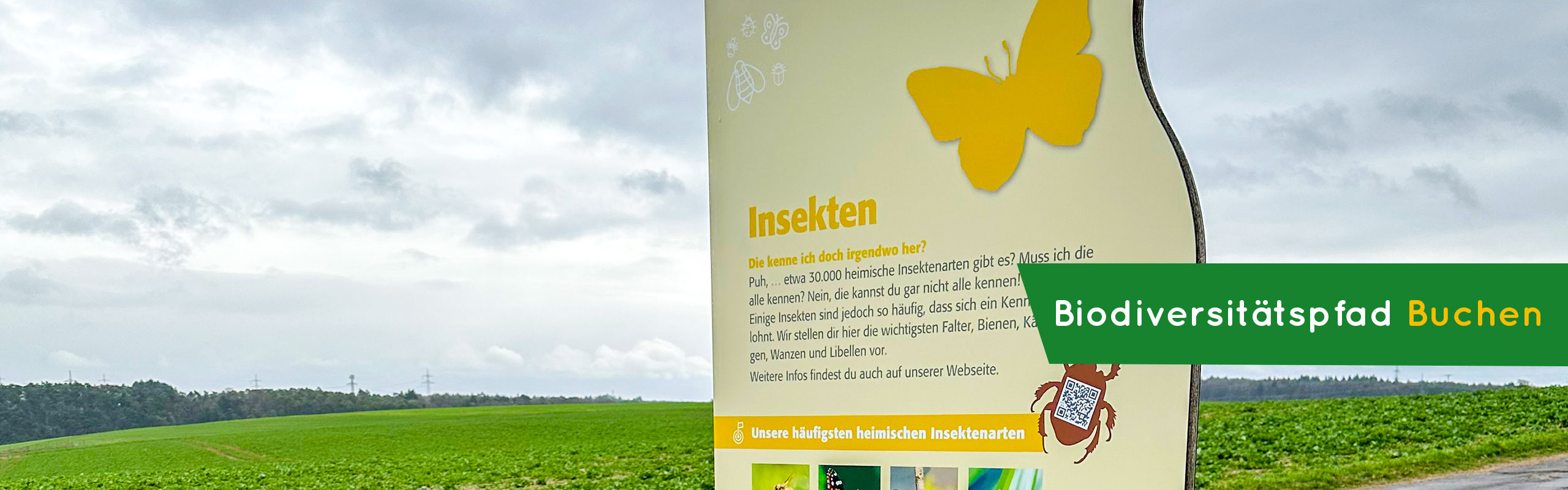 Biodiversitätspfad Buchen