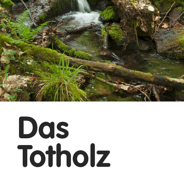 Das Totholz